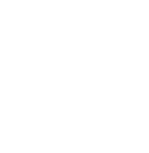 Valor Public Safety